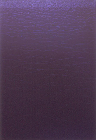 Surface interruption - Ian Peter Smith